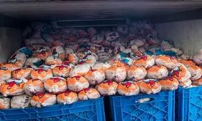 ویترین‌های خالی قطب تولید مرغ در خراسان جنوبی/ وعده تأمین مرغ از امروز