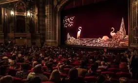 تاریخ برگزاری جشنواره فیلم نیوزیلند تغییر کرد