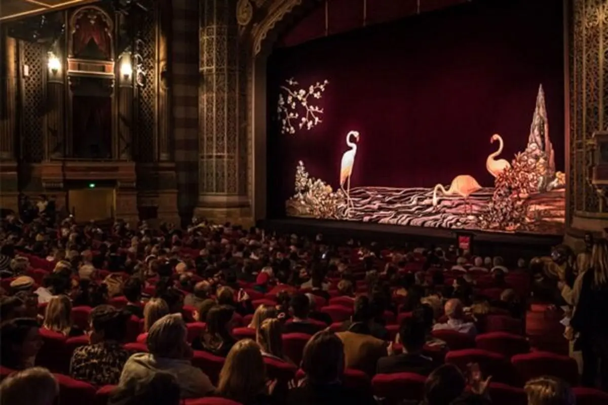 تاریخ برگزاری جشنواره فیلم نیوزیلند تغییر کرد