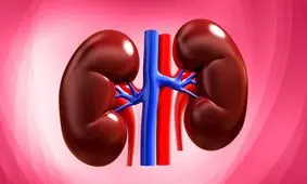 نارسایی کلیه چه علائمی دارد؟/ لازم نیست میزان ادرار را اندازه بگیرید