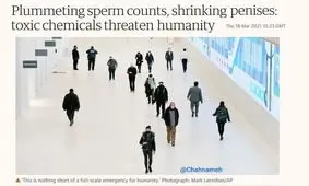 مواد شیمیایی موجود در اطراف ما باعث کاهش اسپرم آقایان می‌شود