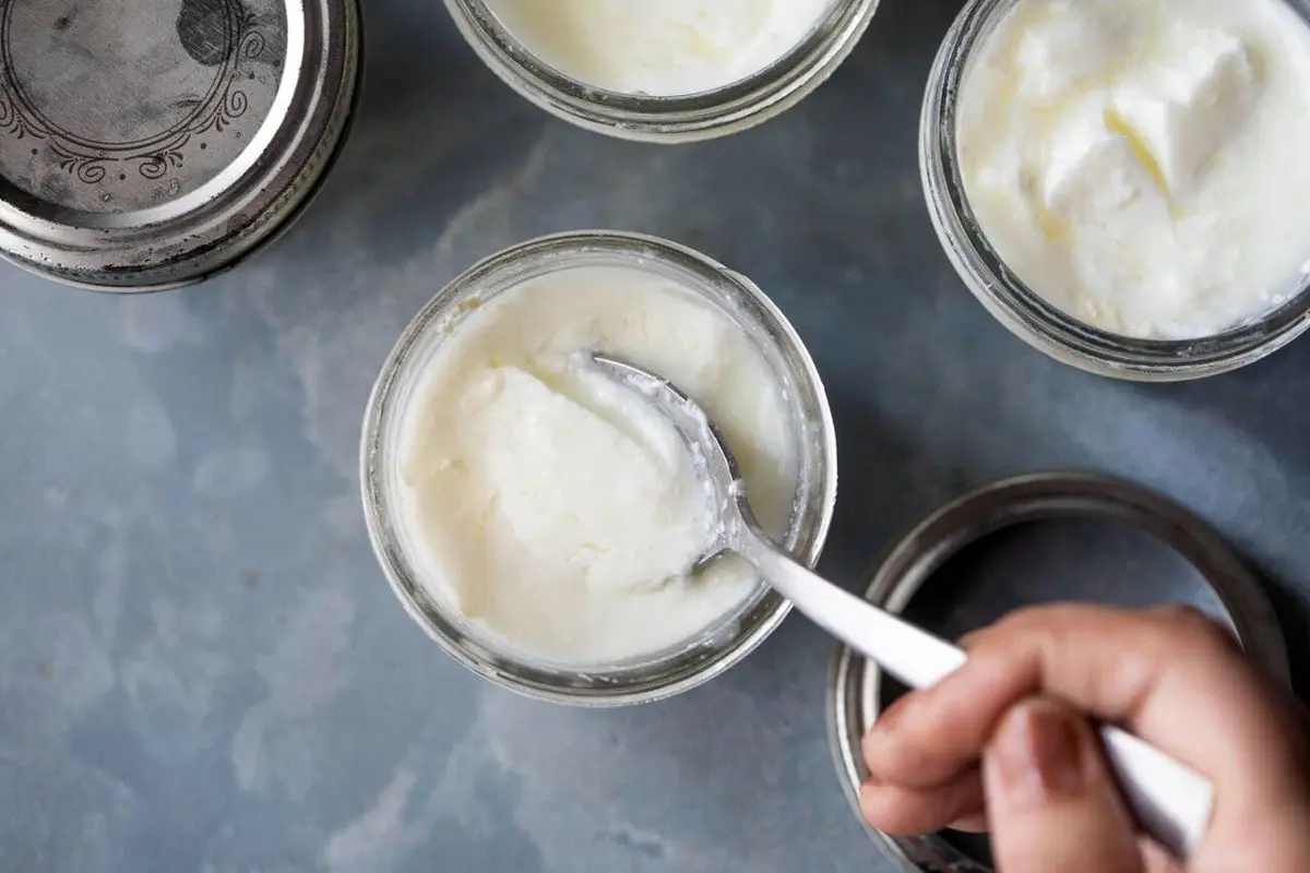 اگر لبنیات نمی خورید، این گزینه‌ها را جایگزین کنید