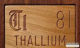 قتل به سبک دیکتاتور عراق/ مرد هندی مادرزنش را به شیوه صدام حسین به قتل رساند