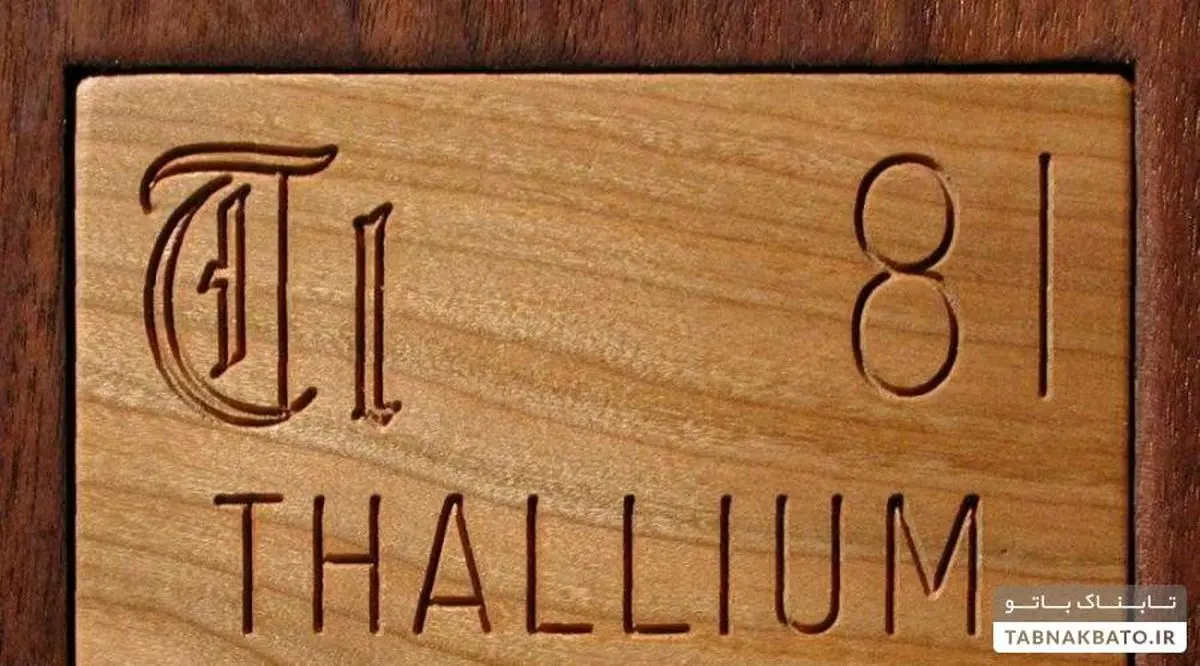 قتل به سبک دیکتاتور عراق/ مرد هندی مادرزنش را به شیوه صدام حسین به قتل رساند