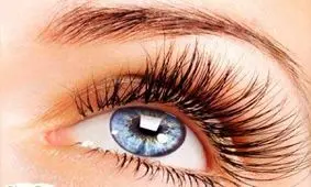 چرا مژه و ابرو مانند موهای سر رشد نمی کنند؟