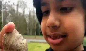 کشف فسیل ۴۸۸ میلیون ساله توسط کودک ۶ ساله/ عکس
