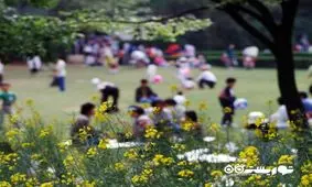 ممنوعیت برگزاری تجمعات و دورهمی‌ها در روز سیزده به در