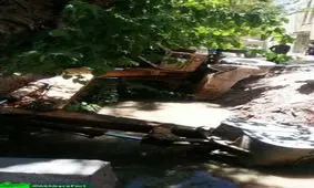 واژگونی بیل مکانیکی در کانال آب