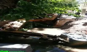 واژگونی بیل مکانیکی در کانال آب