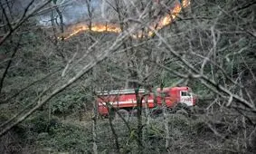 عیدگردی آتش؛ لرزه نوروزی بر تن جنگل های شمال