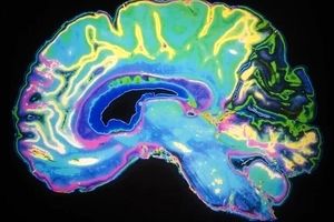 نرم‌کننده‌ها و اختلال عملکردهای مهم مغز