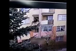جوان 26 ساله لهستانی، مادر بزرگ خود را از پنجره بالکن بیرون انداخت/ ویدئو