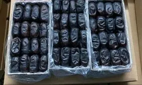 افزایش ۳ برابری قیمت خرمای پیارم در ۲ سال