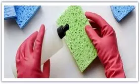 اسفنج را بپزید و بشویید!