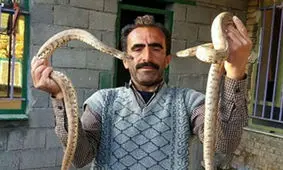 آبگوشت خوردن به همراه مار