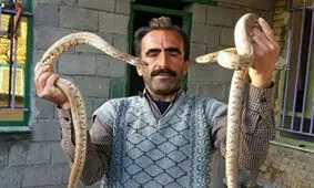 آبگوشت خوردن به همراه مار