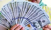 تا کرونا نگیریم، آروم نمی‌گیگیریم/ کاریکاتور