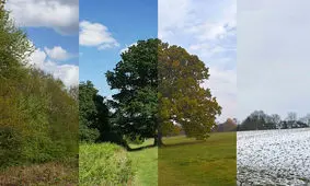 مقابله با تغییرات اقلیمی نباید به چانه زنی ژئوپلیتیک تبدیل شود