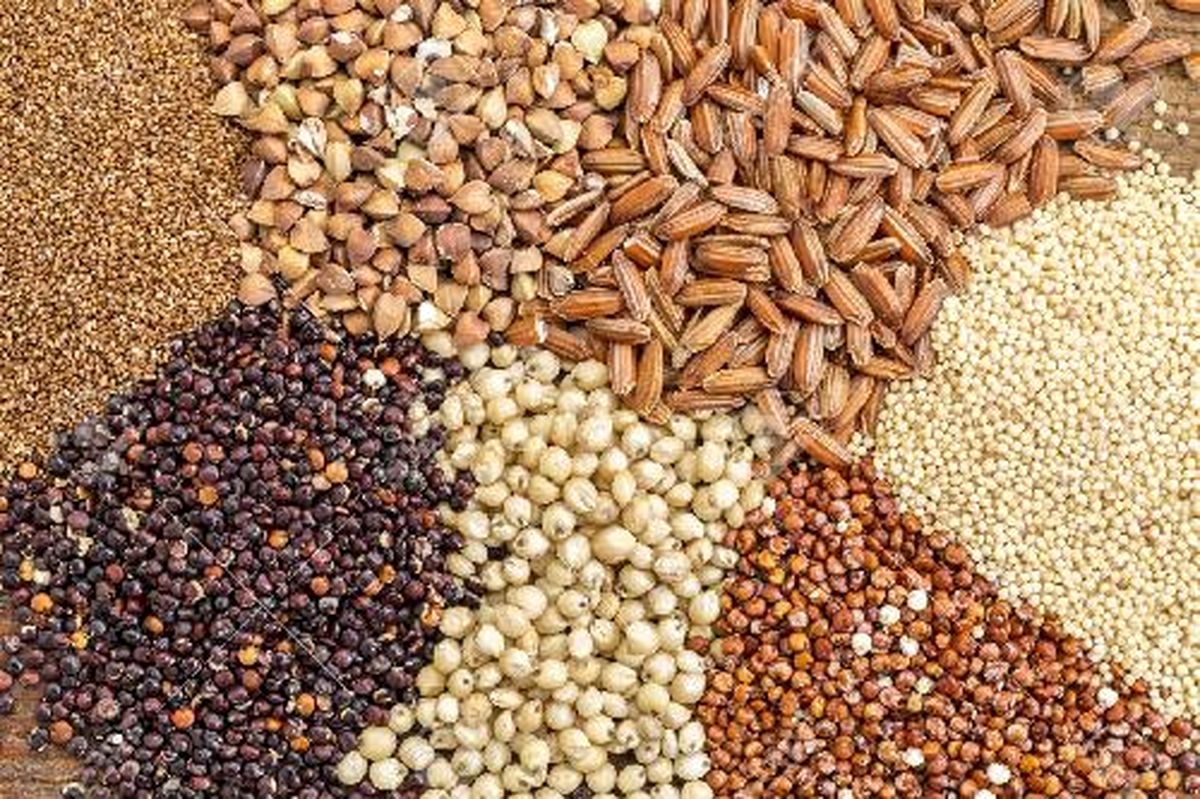 درخواست ۲۰ هزار میلیارد ریال تسهیلات برای تهیه نهادههای کشاورزی
