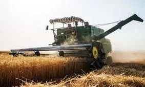 برداشت گندم از مزارع لارستان آغاز شد