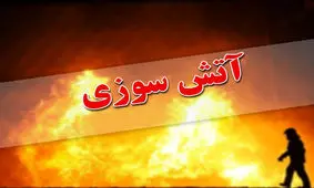 ۶ کشته بر اثر آتش‌سوزی کارگاه مبل‌سازی در پردیس/ ویدئو