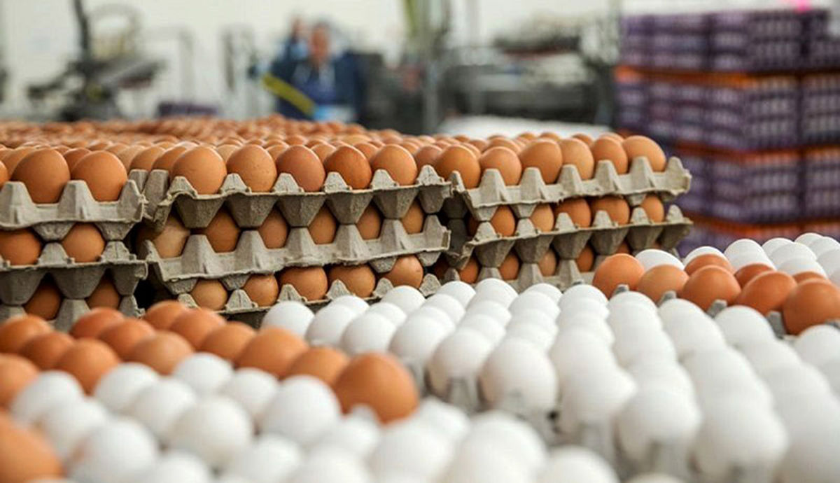 قیمت تخم‌مرغ در میادین میوه و تره‌بار تهران ارزان شد: هر شانه ۲۹۹۰۰ هزار تومان