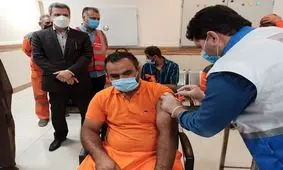 مدیران شهرداری این‌گونه واکسن زدند/ کاریکاتور