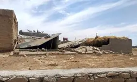 پشت پرده زلزله ۸.۹ ریشتری در گناوه