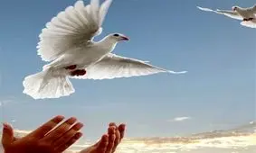 ۱۱۰میلیارد تومان برای آزادی ۱۴۷ زندانی جرایم غیرعمد استان بوشهر هزینه شد