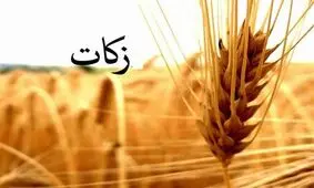 شیوه جمع‌آوری زکات فطره متناسب با شرایط کرونایی تغییر کند