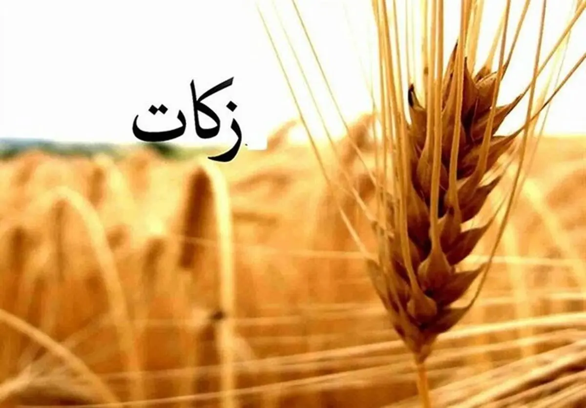 شیوه جمع‌آوری زکات فطره متناسب با شرایط کرونایی تغییر کند