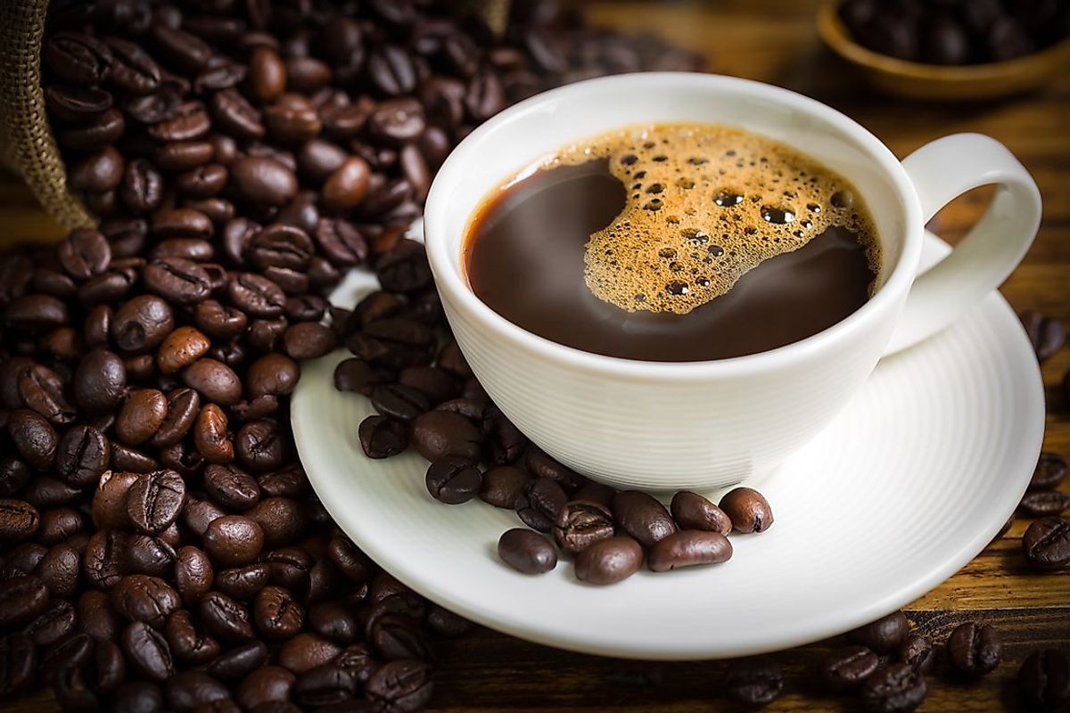 کشف گونه‌ای از قهوه که تصور می‌شد منقرض شده
