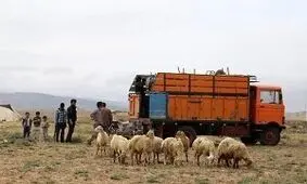 افزایش کوچ ماشینی عشایر/ کوچ زمینی باید احیاء شود