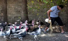 روستایی با ساکنین اروپایی نزدیک تهران/ تصاویر