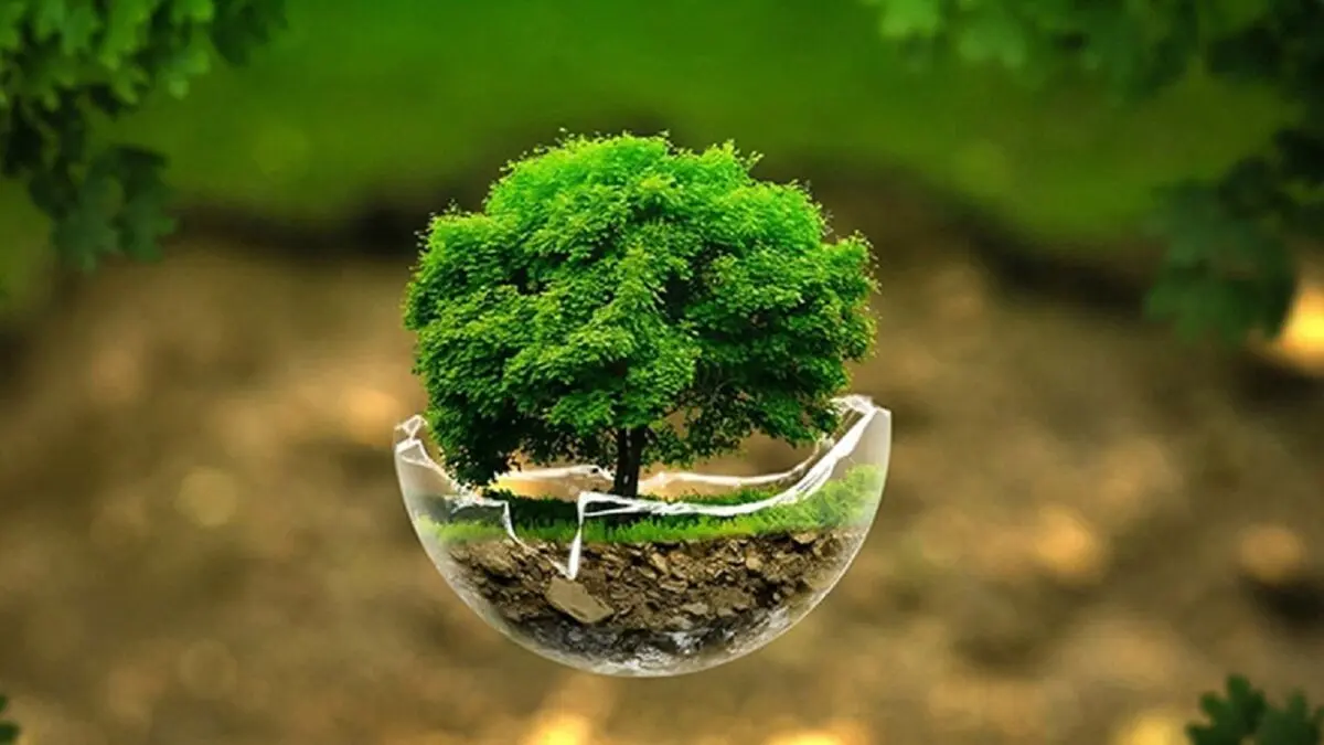 زمین سیاره‌ای که طبیعت آن رو به فراموشی است