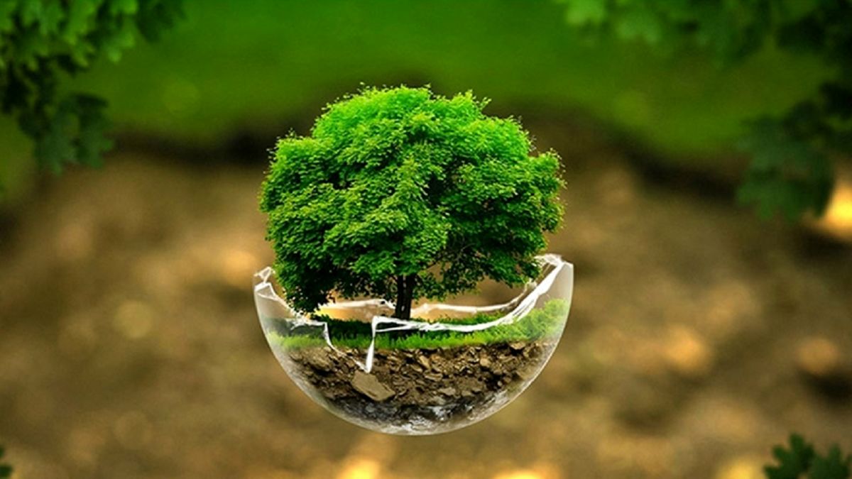 زمین سیارهای که طبیعت آن رو به فراموشی است
