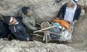 همدان جزء ۳ استان برتر در دستگیری حفاران غیرمجاز
