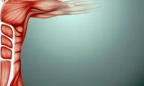 تاثیر مهم یک ژن عضلانی در بروز دیابت نوع ۲