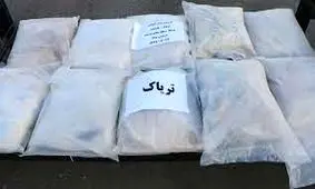 کشف محموله بزرگ مواد مخدر در فارس/ ویدئو