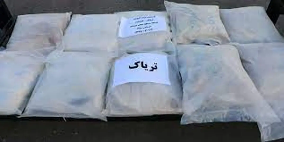 کشف محموله بزرگ مواد مخدر در فارس/ ویدئو