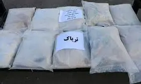 کشف محموله بزرگ مواد مخدر در فارس/ ویدئو