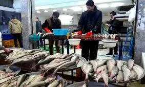 بازاری که با اگر و مگر سربراه نمی‌شود/ آبزیان هم از سفره مردم حذف شد