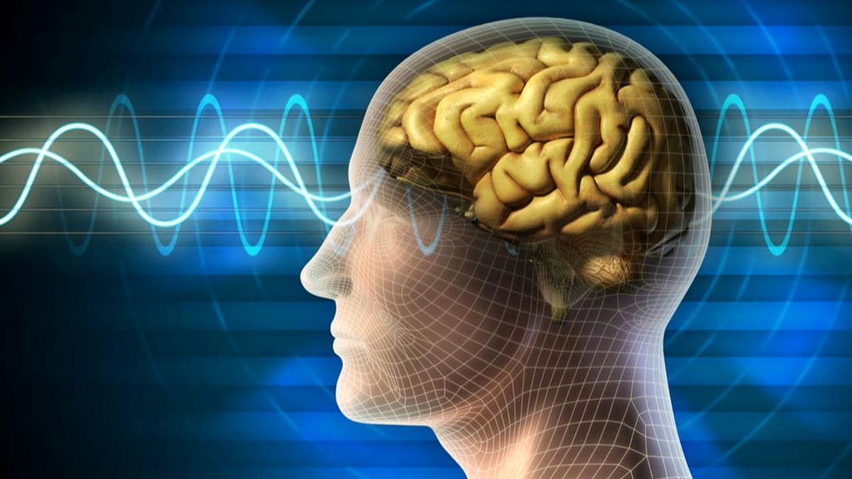 در مغز انسان چه میگذرد؟