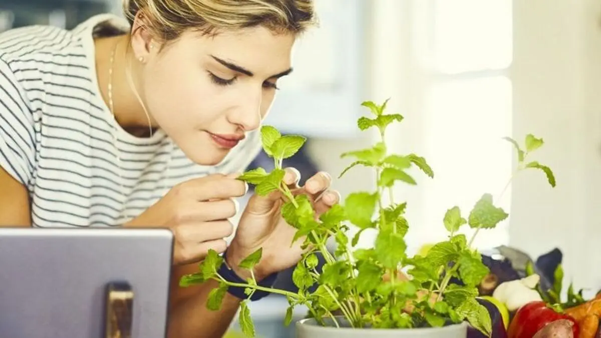 بعد کرونا چطور بویایی خود را به دست آورید