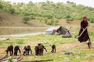 خسارت ۵۰۰۰ میلیارد ریالی خشکسالی به عشایر خراسان رضوی