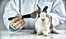 ماجرای تست بی‌رحمانه لوازم آرایشی بر روی حیوانات/ تصاویر