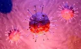 تشدید مراقبت‌های مرز خراسان جنوبی برای جلوگیری از ورود ویروس هندی