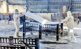 نفس هند به شماره افتاد آواز مرگ در بالیوود