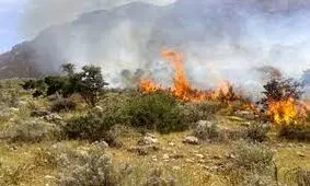 مهار آتش سوزی پارک ملی بمو/ ویدئو