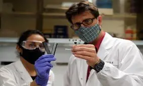 ترمیم رگ‌های خونی با یک پَچ چسبی